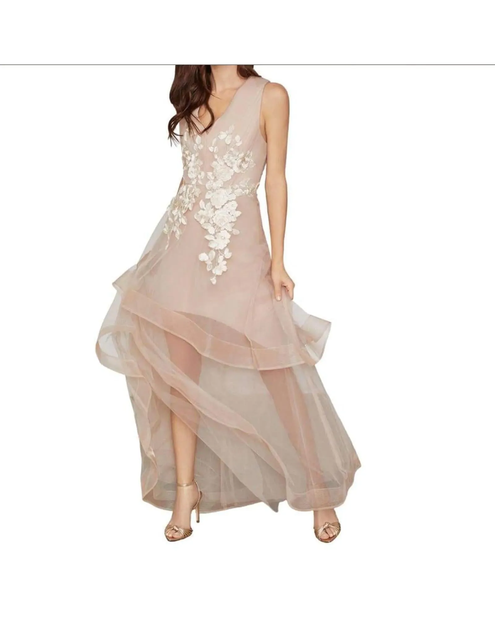 BCBGMAXAZRIA Floral Embroidered Tulle Gown Blush